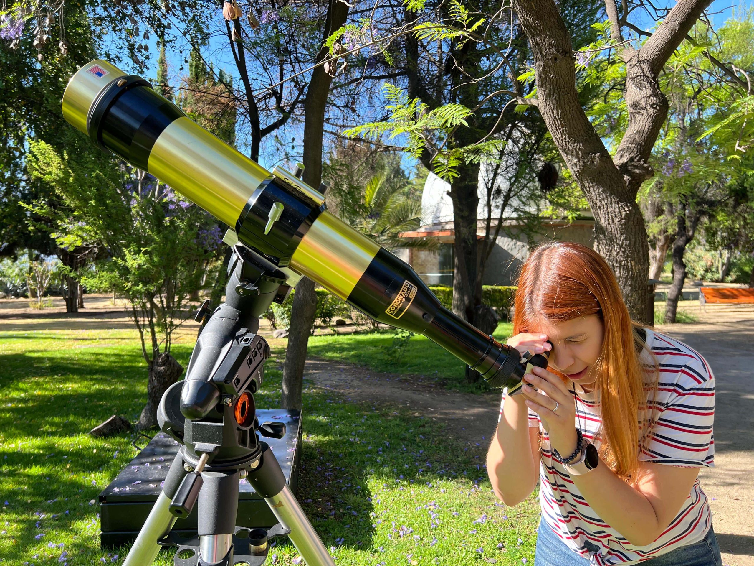 Estrellas chiquitas y estrellas grandotas; ¿Son todas iguales?