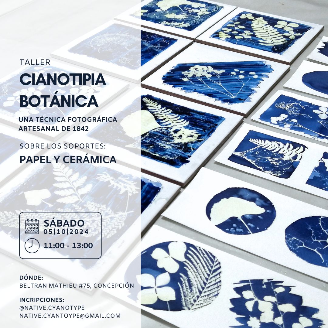 Taller de Cianotipia botánica