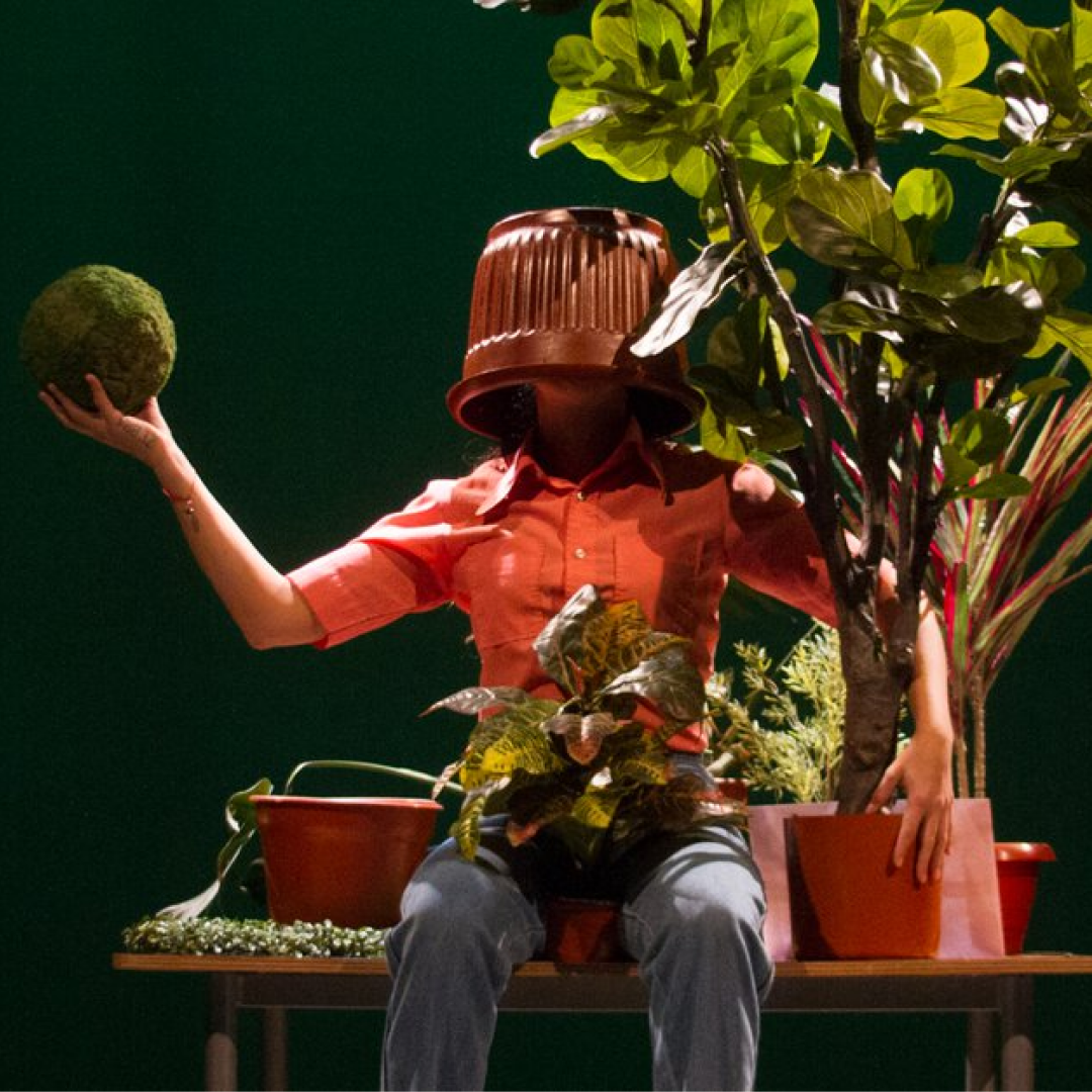 Obra de Teatro: Estado vegetal