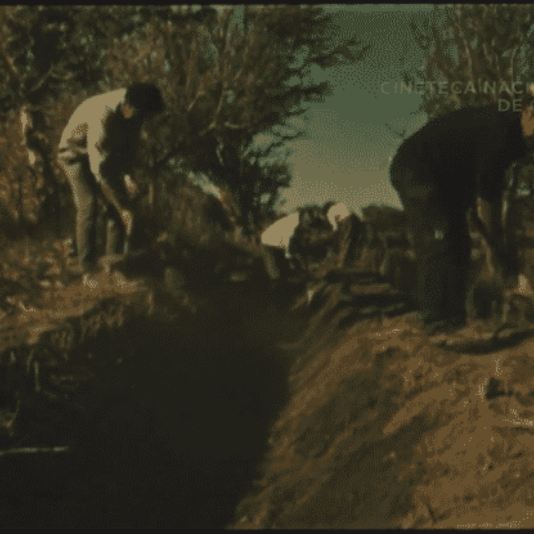 Chile en marcha: transformación del campo y del campesino