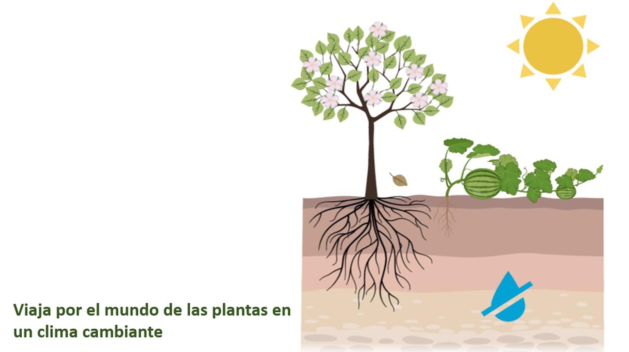 Viaja por el mundo de las plantas en un clima cambiante