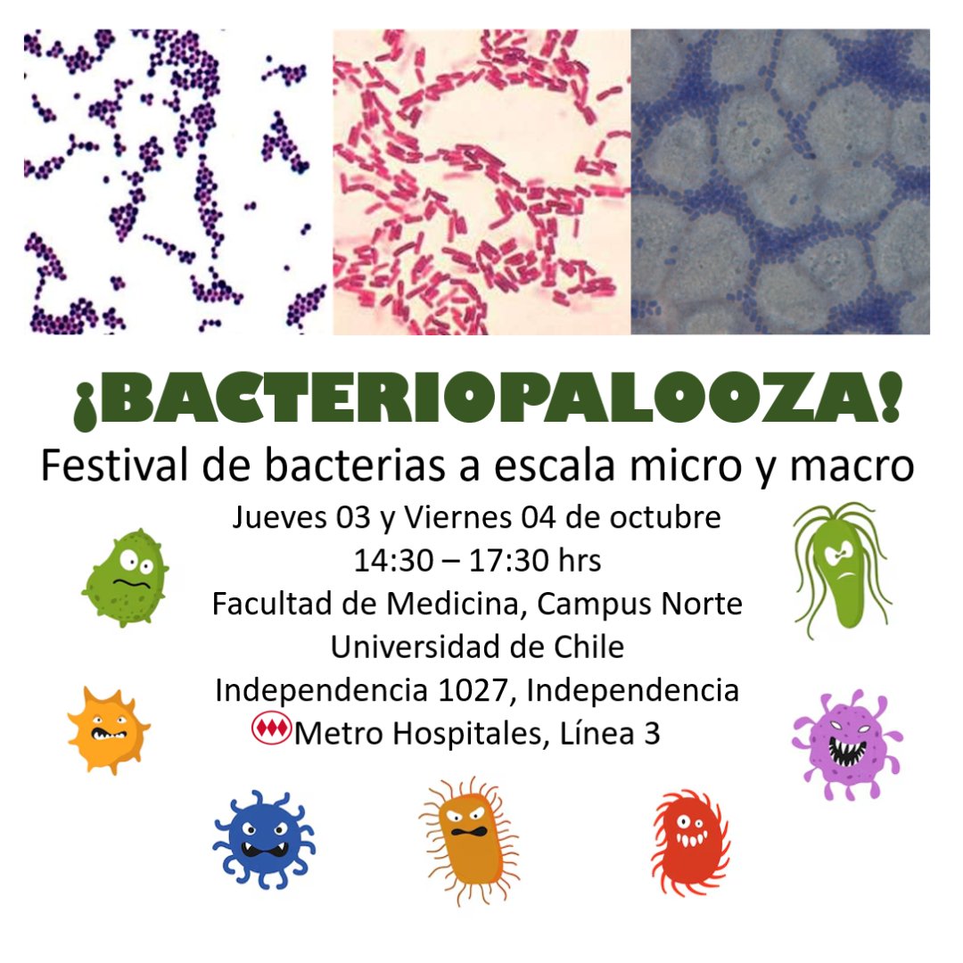 Bacteriopalooza: Festival de bacterias a escala micro y macro