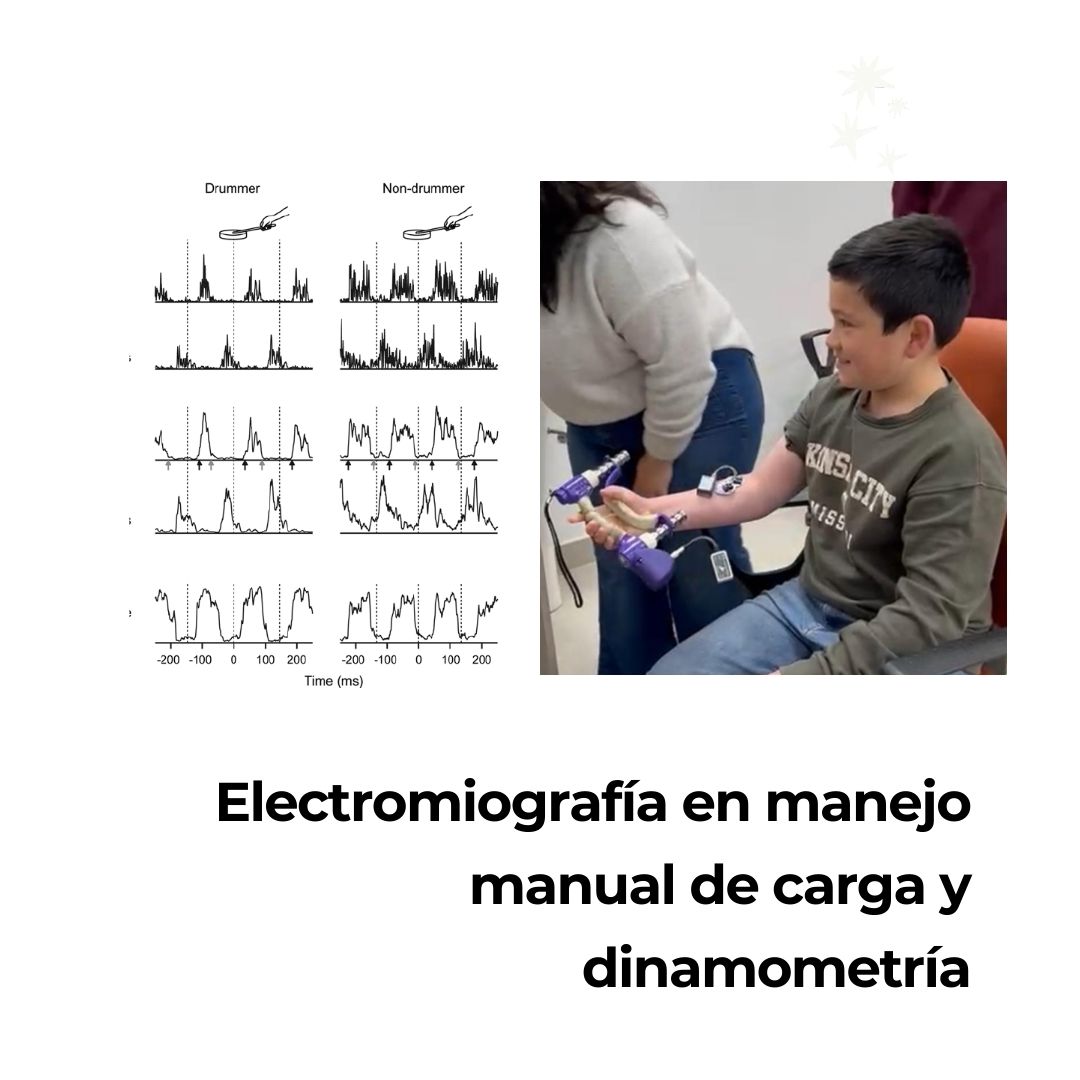 Capacidad física muscular 