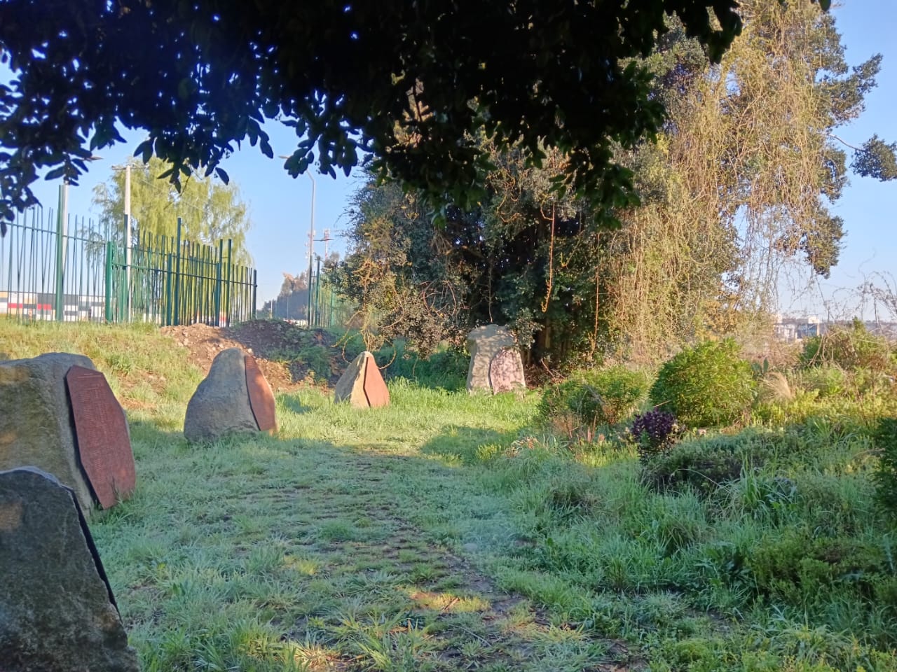 Visita guiada por Espacio contemporaneo de arte, ciencia y memoria mapuche